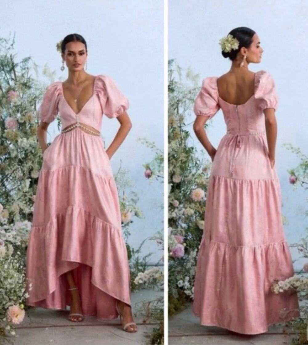 V. Chapman The Emma Dress in Light Pink Windsor Brocade Sz 8 NWT+I